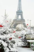 Rare snowy day in Paris. The Eiffel Tower and decorated Christmas tree